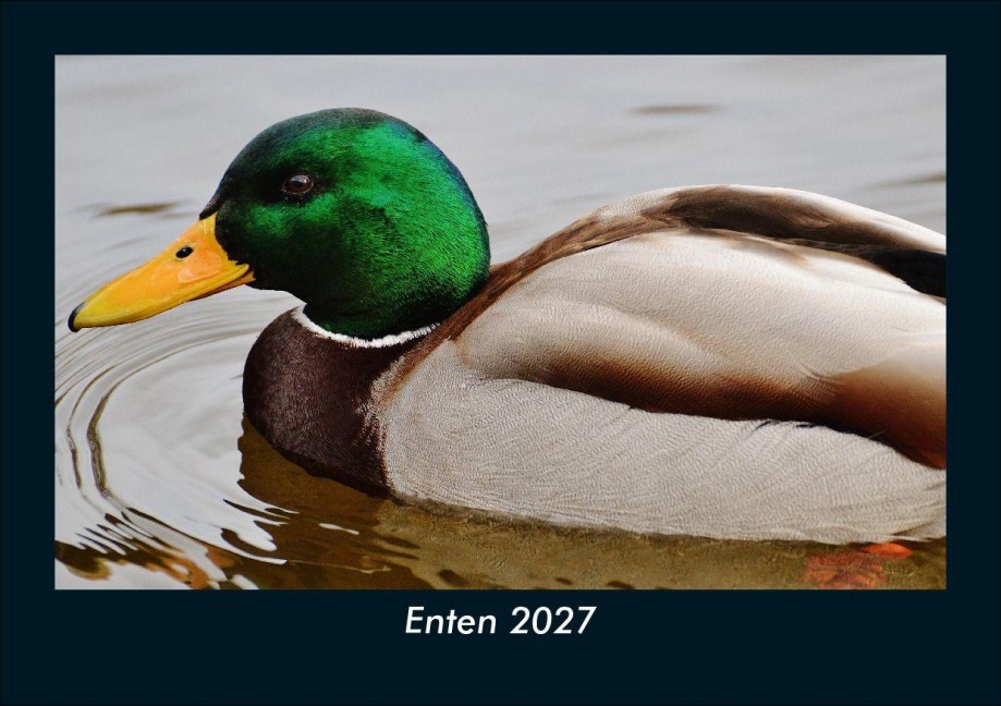 Enten 2027 Fotokalender DIN A5 - Tobias Schmitt, Kevin Heber