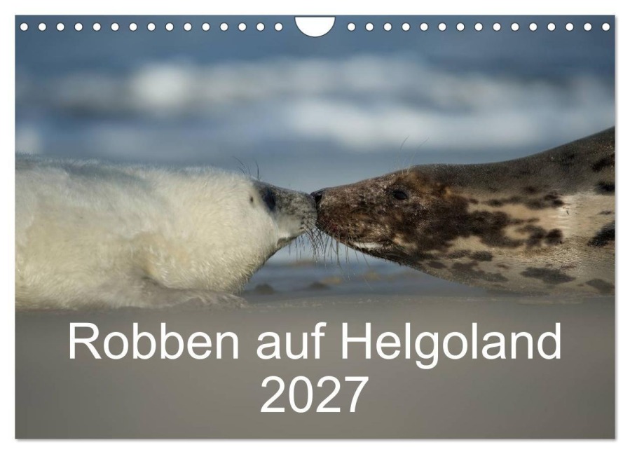 Robben auf Helgoland 2027 (Wandkalender 2027 DIN A4 quer), CALVENDO Monatskalender - Stefan Leimer