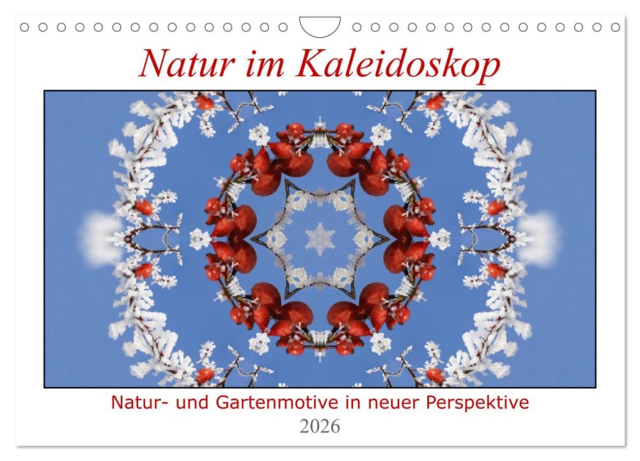 Natur im Kaleidoskop (Wandkalender 2026 DIN A4 quer), CALVENDO Monatskalender - Hanne Wirtz