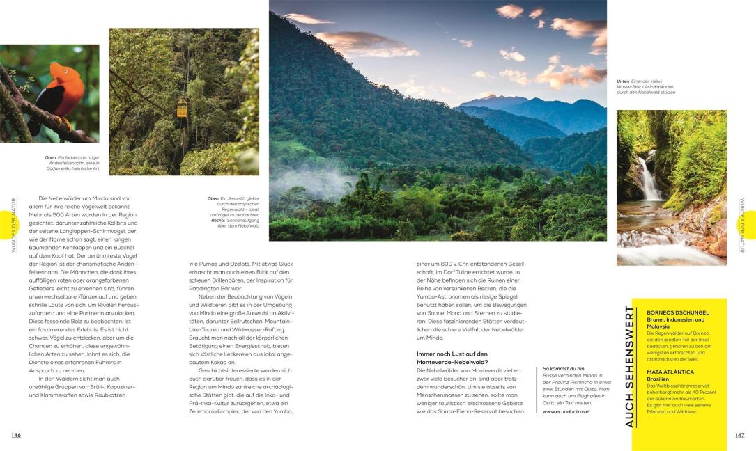 InsideView 6