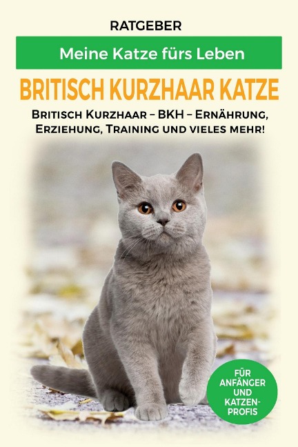 Britisch Kurzhaar Katze - Meine Katze fürs Leben Ratgeber