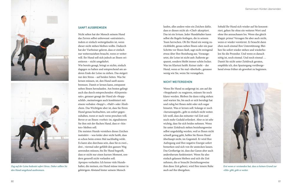 InsideView 8