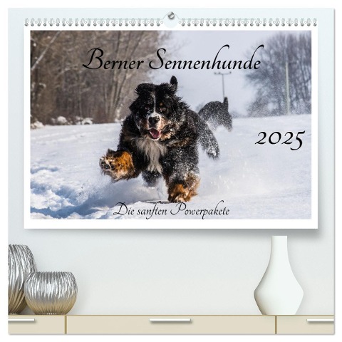 Berner Sennenhunde - Die sanften Powerpakete (hochwertiger Premium Wandkalender 2025 DIN A2 quer), Kunstdruck in Hochglanz - Jana K. Fotografie