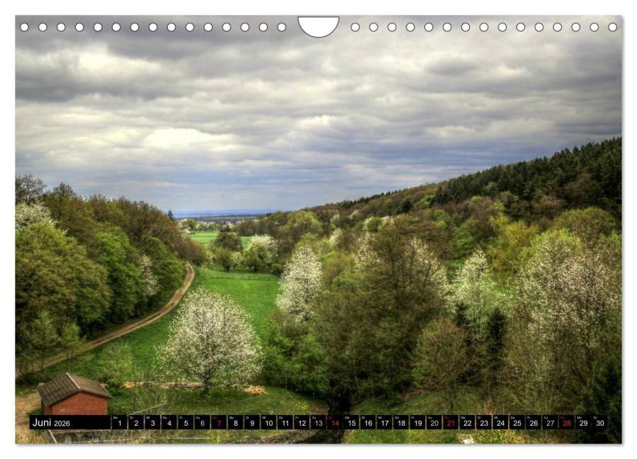 InsideView 11
