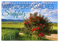 Cover-Bild zum Titel 'Wanderparadies Südpfalz (Tischkalender 2026 DIN A5 quer), CALVENDO Monatskalender' von 'Sulamay Fillinger'