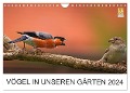 Vögel in unseren Gärten 2024 (Wandkalender 2024 DIN A4 quer), CALVENDO Monatskalender - Lutz Klapp