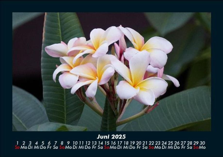 InsideView 10