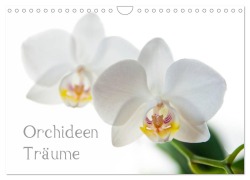 Cover-Bild zum Titel 'Orchideen Träume (Wandkalender 2026 DIN A4 quer), CALVENDO Monatskalender' von 'Hannes Cmarits'