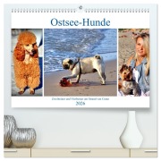Cover-Bild zum Titel 'Ostsee-Hunde - Zweibeiner und Vierbeiner am Strand von Cranz (hochwertiger Premium Wandkalender 2026 DIN A2 quer), Kunstdruck in Hochglanz' von 'Henning von Löwis of Menar'