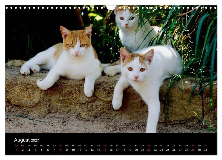 InsideView 13
