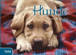 Cover-Bild zum Titel 'Hunde' von ''