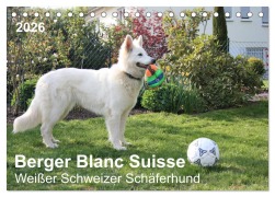 Cover-Bild zum Titel 'Berger Blanc Suisse - Weißer Schweizer Schäferhund (Tischkalender 2026 DIN A5 quer), CALVENDO Monatskalender' von 'Margarete Brunhilde Kesting'