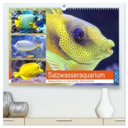 Salzwasseraquarium. Meeresfische im heimischen Wohnzimmer (hochwertiger Premium Wandkalender 2026 DIN A2 quer), Kunstdruck in Hochglanz - Rose Hurley