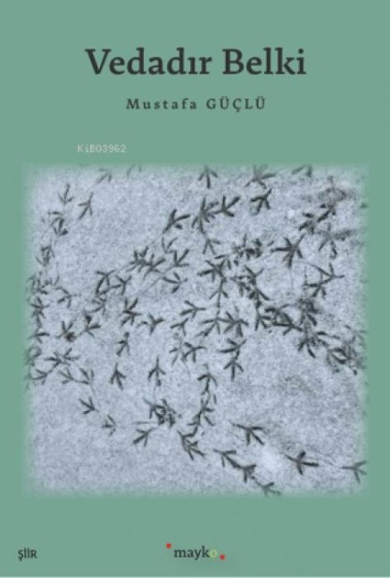 Vedadir Belki - Mustafa Güclü