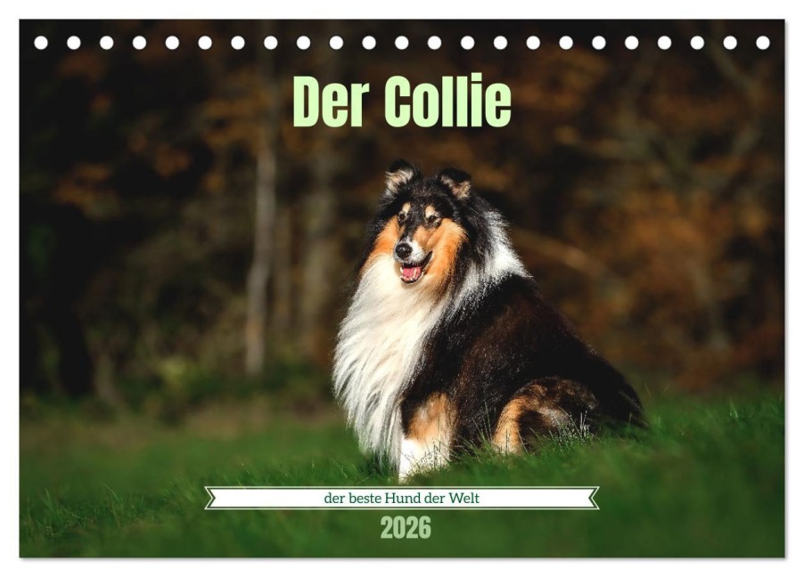 Der Collie der beste Hund der Welt (Tischkalender 2026 DIN A5 quer), CALVENDO Monatskalender - Yvonne Janetzek