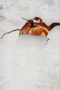 Cover-Bild zum Titel 'Jack: A Folk Horror Halloween Story of Scarecrows, Rituals, and Rural Terror (Twisted Tales, #1)' von 'R. P. Howley, Daniel Willcocks'