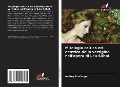 Cover-Bild zum Titel 'Mitologia celtica ed estetica della vertigine nell'opera di Léa Silhol' von 'Audrey Boulanger'