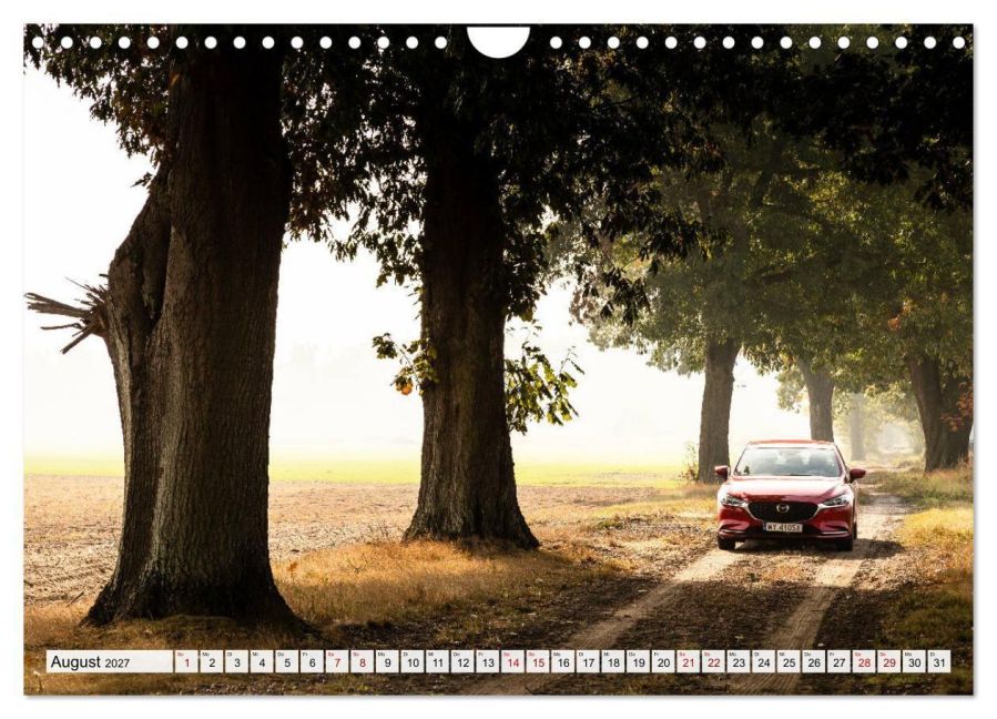 InsideView 13