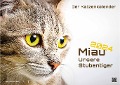 Miau - Unsere Stubentiger - Der Katzenkalender - 2024 - Kalender DIN A3 - 