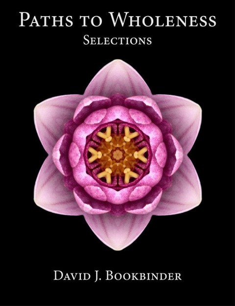 Paths to Wholeness: Selections - David J. Bookbinder