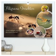 Cover-Bild zum Titel 'Filigrane Insekten (hochwertiger Premium Wandkalender 2026 DIN A2 quer), Kunstdruck in Hochglanz' von 'Claudia Kleemann'