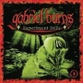 Cover-Bild zum Titel '03/Experiment Stille (Remastered Edition)' von 'Gabriel Burns'