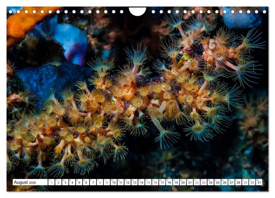 InsideView 13