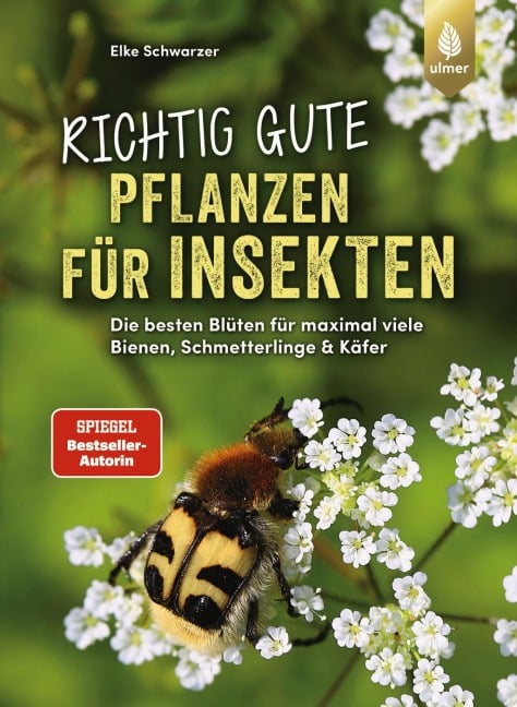 Richtig gute Pflanzen für Insekten - Elke Schwarzer