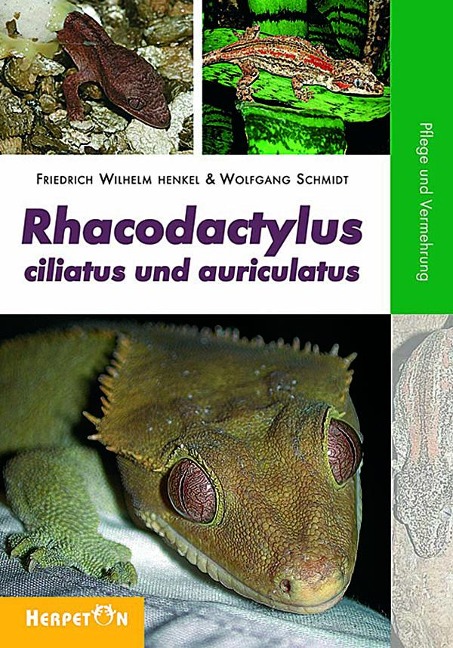 Rhacodactylus ciliatus und auriculatus - Friedrich-Wilhelm Henkel, Wolfgang Schmidt