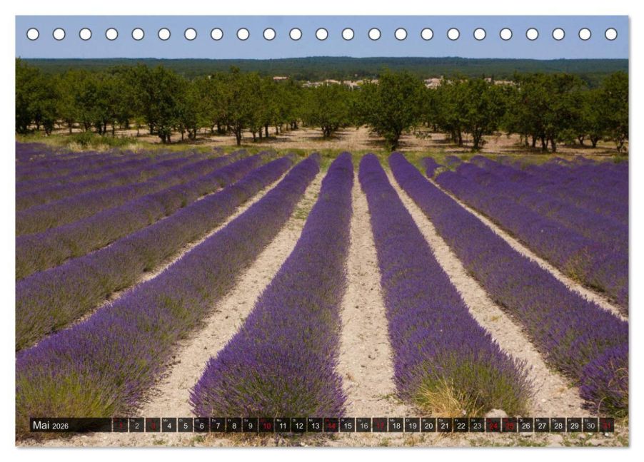 InsideView 10