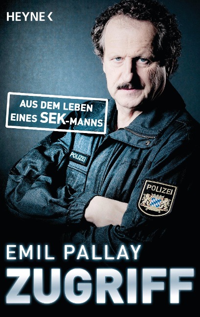 Zugriff - Emil Pallay