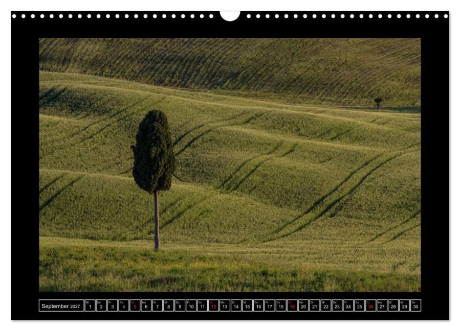 InsideView 14