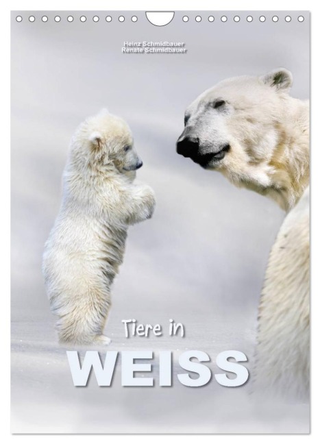 Tiere in Weiß (Wandkalender 2026 DIN A4 hoch), CALVENDO Monatskalender - Heinz Schmidbauer