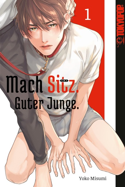 Mach Sitz. Guter Junge. Band 01 - Yoko Misuki