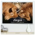 Ziegen. Lustige Ausbruchskünstler (hochwertiger Premium Wandkalender 2024 DIN A2 quer), Kunstdruck in Hochglanz - Elisabeth Stanzer