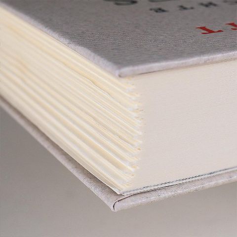 InsideView 6