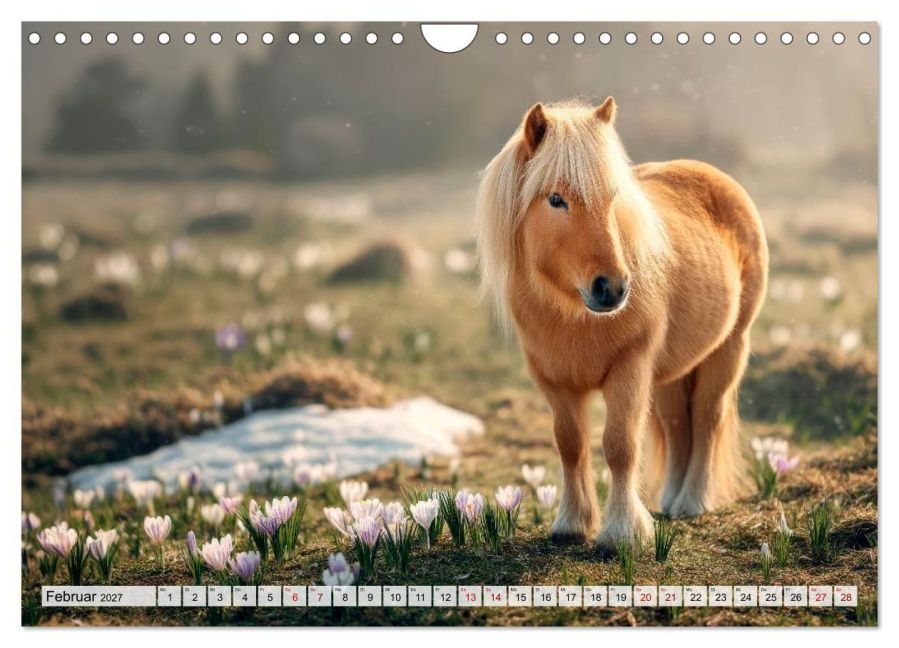 InsideView 7
