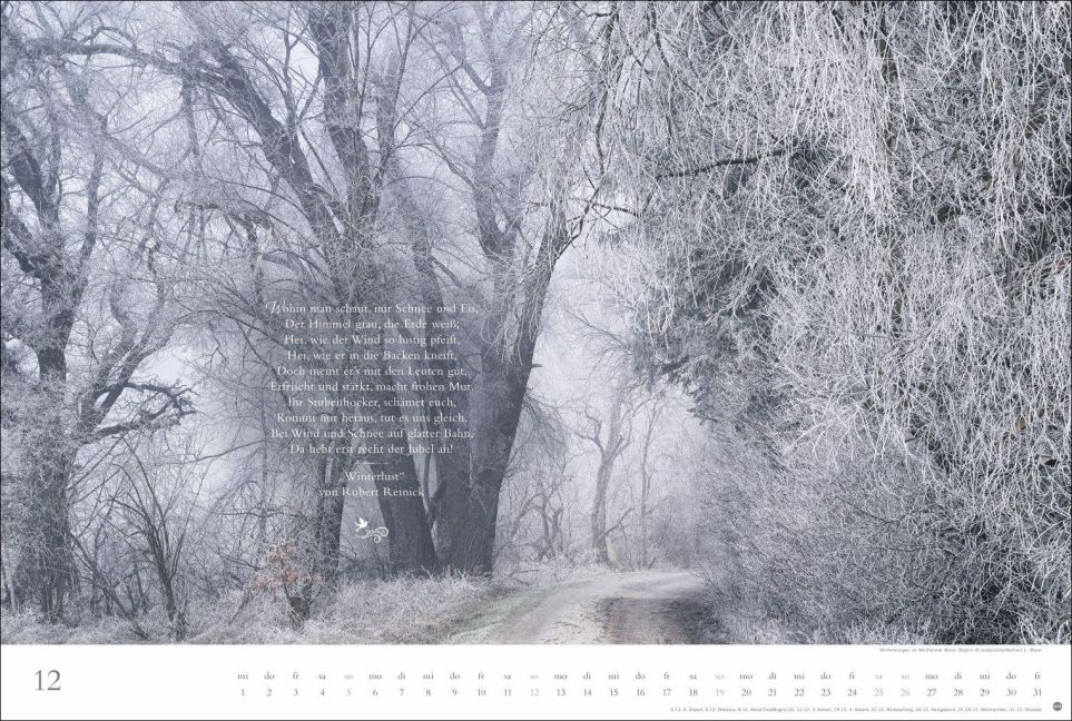 InsideView 12