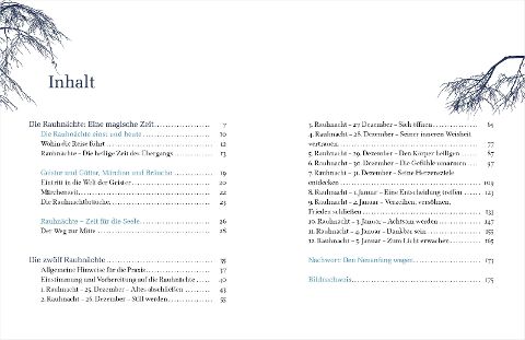 InsideView 1