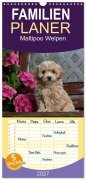 Cover-Bild zum Titel 'Familienplaner 2027 - Maltipoo Welpen mit 5 Spalten (Wandkalender, 21 x 45 cm) CALVENDO' von 'Tanja Schultz'