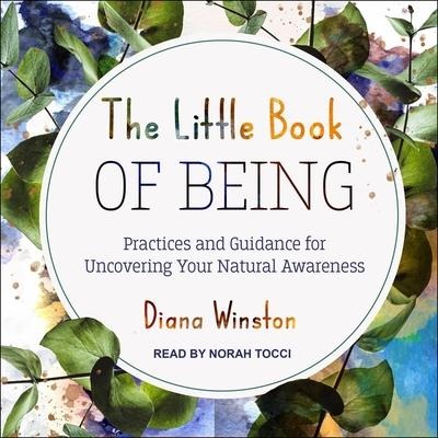The Little Book of Being Lib/E: Practices and Guidance for Uncovering Your Natural Awareness - Diana Winston