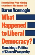 Cover-Bild zum Titel 'What Happened to Liberal Democracy?' von 'Daron Acemoglu'