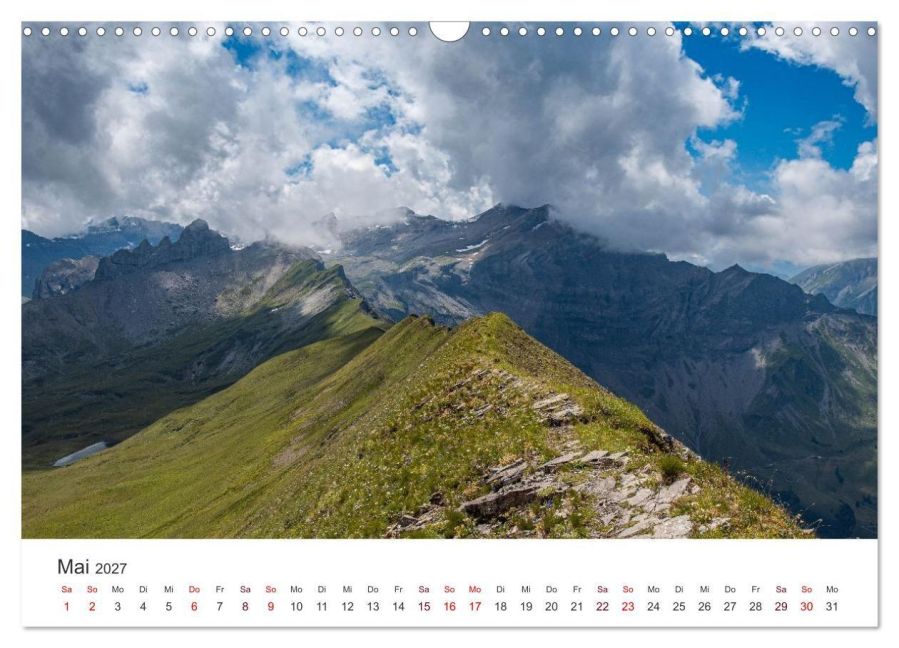 InsideView 10