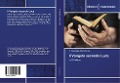 Cover-Bild zum Titel 'Il Vangelo secondo Luca' von 'P. Giuseppe Crocetti Sss'