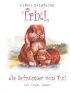 Cover-Bild zum Titel 'TRIXI DIE SCHWESTER VON TIXI' von 'Ulrike Greweling'