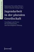 Cover-Bild zum Titel 'Jugendarbeit in der pluralen Gesellschaft' von ''