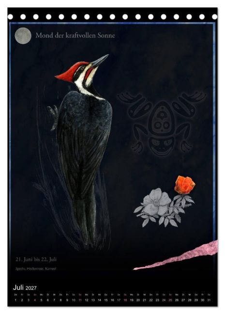 InsideView 12
