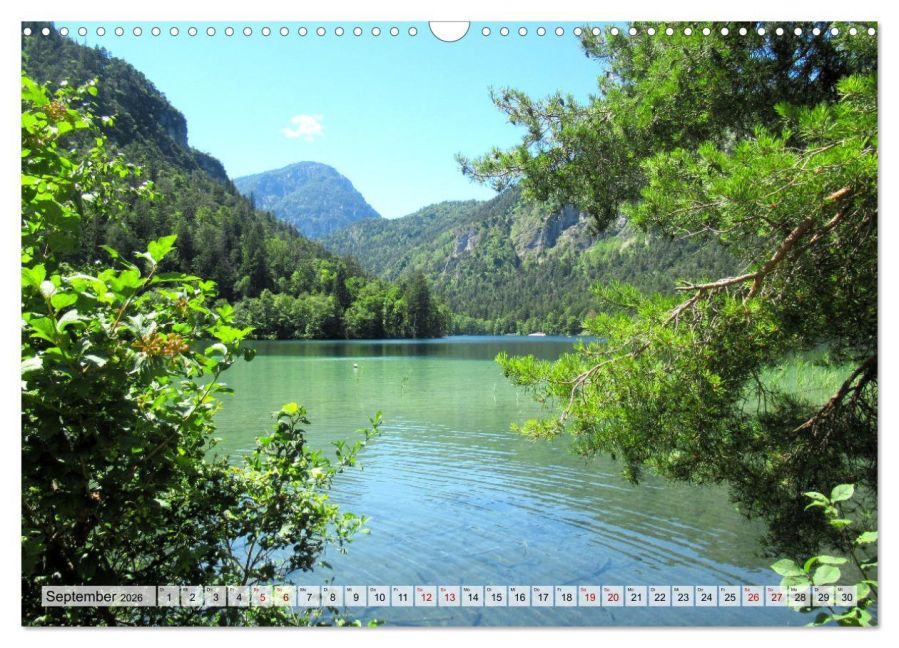 InsideView 14