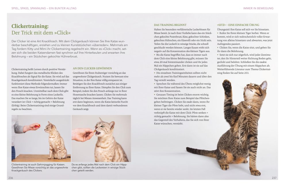InsideView 8