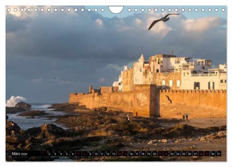 InsideView 8